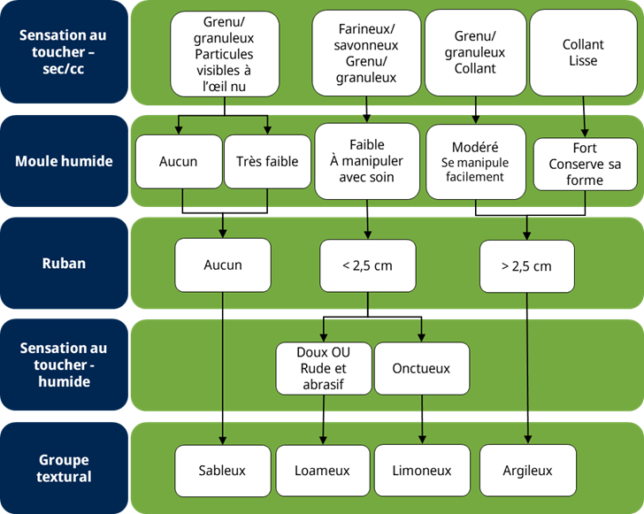 Image indiquant le groupe textural