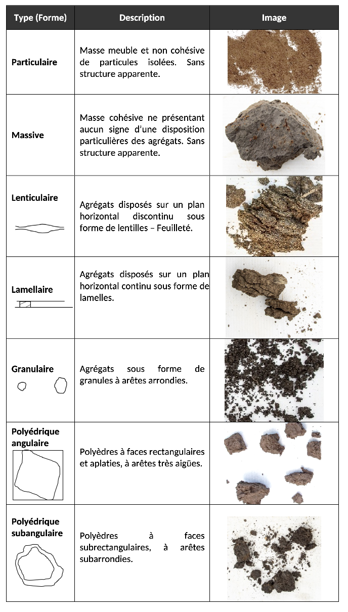 Image décrivant le type de la structure